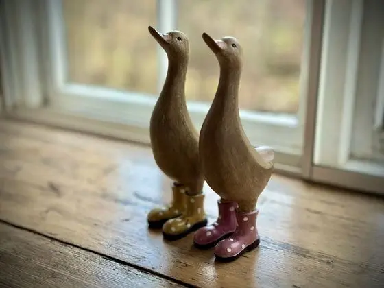 Tek Büyük Yataklı Oda, 1 En Büyük (King) Boy Yatak
