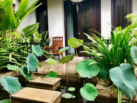 Superior Tek Büyük Yataklı Oda, Balkon, Bahçe Manzaralı