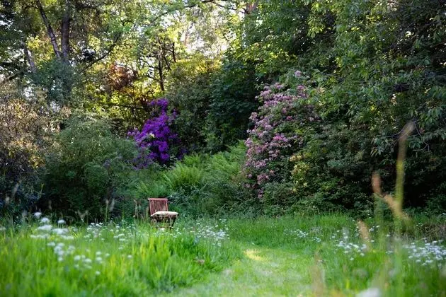 Luxury Ev, Banyolu/Duşlu (Home Farm )