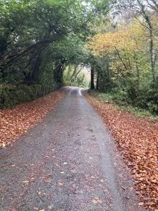 Ev, Birden Çok Yatak