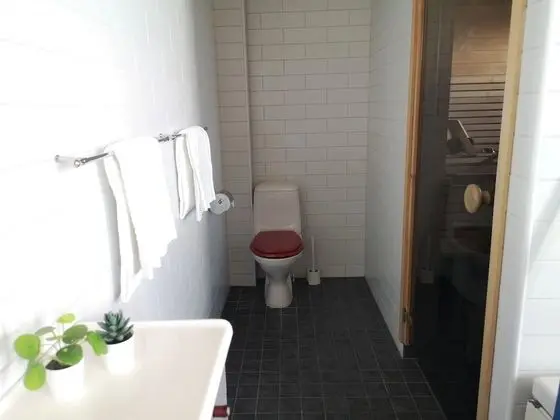 Çatı Katı Süiti (Penthouse)