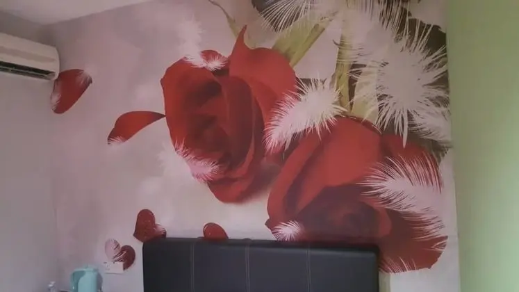 Standard Tek Büyük Yataklı Oda, 1 Çift Kişilik Yatak, Özel Banyo