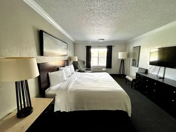 2 Room Luxury Suite, 1 King & 1 Sofa Bed (Interior)