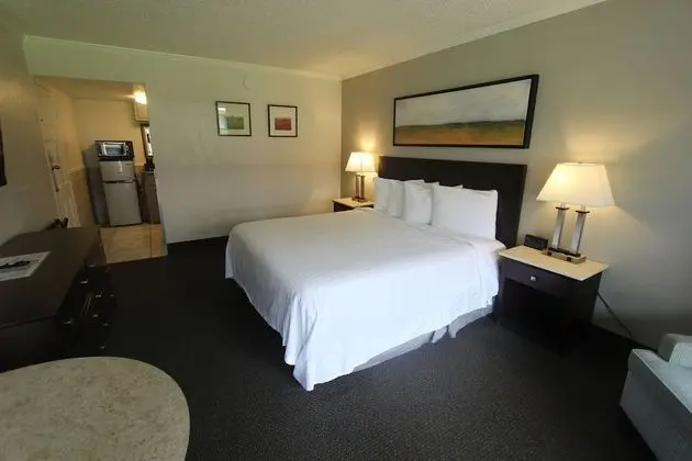 Mini Suite, 1 King Bed (Exterior Corridor)