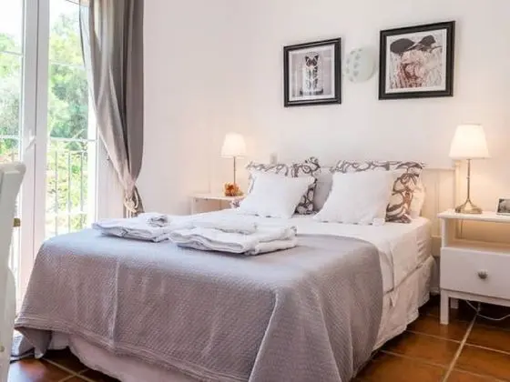 Classic Tek Büyük Yataklı Oda, Banyolu/Duşlu, Havuz Manzaralı