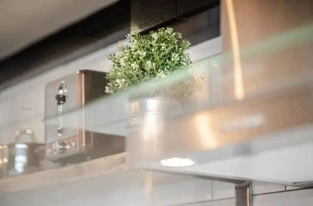 Deluxe Apart Daire, 1 Çift Kişilik Yatak, Sigara İçilmez