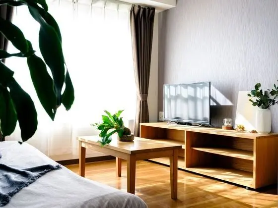 Comfort Apart Daire (1DK)