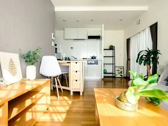 Comfort Apart Daire (1DK)