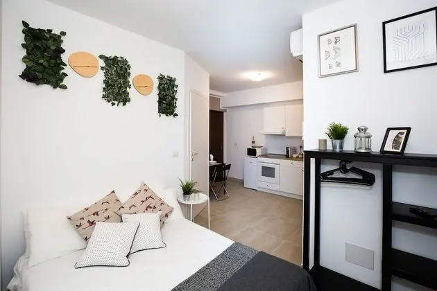 Apart Daire, 1 Yatak Odası (Teti)