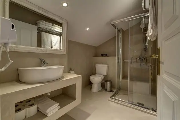 Çatı Katı (Loft) (Skylight)