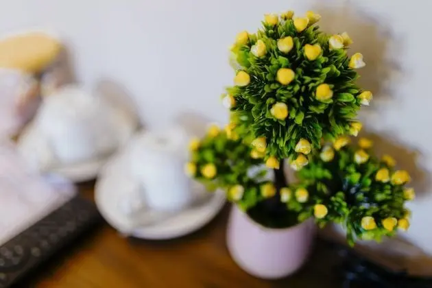 Deluxe Tek Büyük Yataklı Oda, 1 Çift Kişilik Yatak, Veranda, Şehir Manzaralı