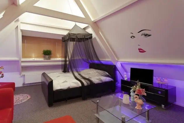Tek Büyük Yataklı Oda (Attic room)