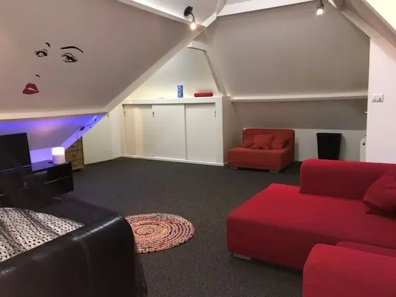 Tek Büyük Yataklı Oda (Attic room)