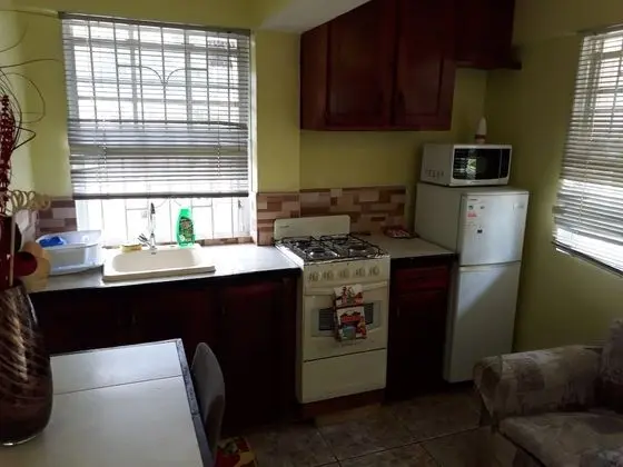 Basic Apart Daire, 1 Çift Kişilik Yatak