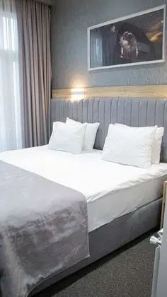 Superior Tek Kişilik Oda, 1 En Büyük (King) Boy Yatak, Şehir Manzaralı