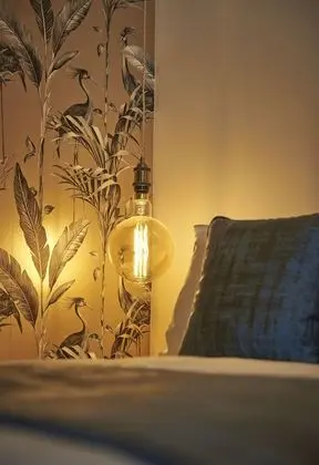 Deluxe Tek Büyük Yataklı Oda, 1 Çift Kişilik Yatak, Sigara İçilmez, Banyolu/Duşlu