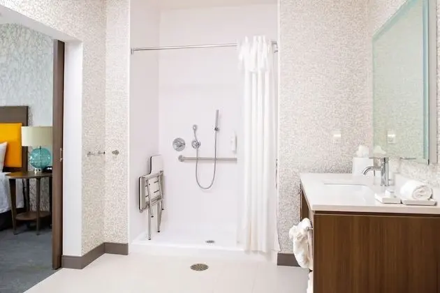 Süit, 1 En Büyük (King) Boy Yatak, Engellilere Uygun, Sigara İçilmez (Roll-In Shower)