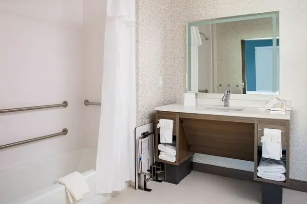 Süit, 1 En Büyük (King) Boy Yatak, Engellilere Uygun, Sigara İçilmez (Roll-In Shower)
