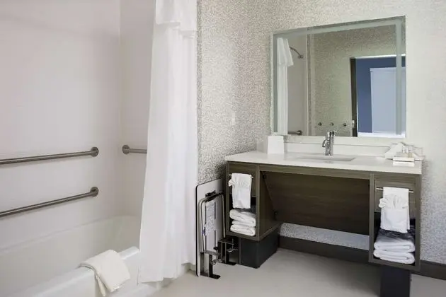 Süit, 1 En Büyük (King) Boy Yatak, Engellilere Uygun, Sigara İçilmez (Roll-In Shower)