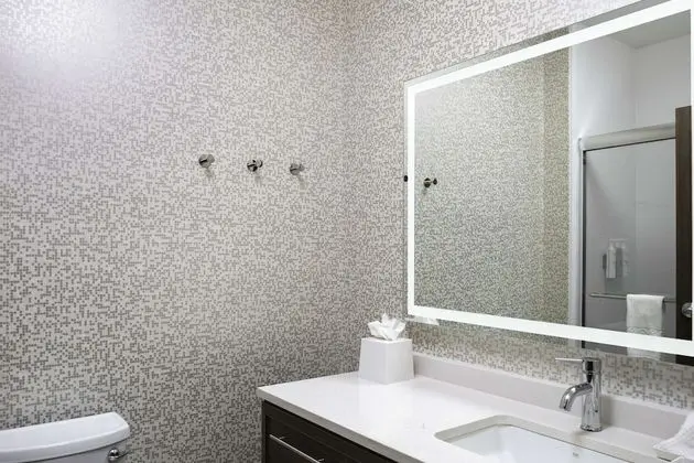Süit, 1 En Büyük (King) Boy Yatak, Engellilere Uygun, Sigara İçilmez (Roll-In Shower)