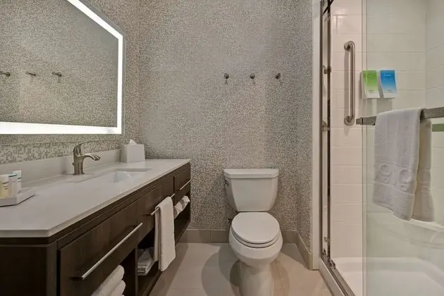 Süit, 1 Yatak Odası, Sigara İçilmez