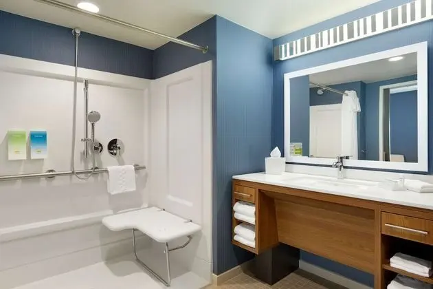 Süit, 1 Büyük (Queen) Boy Yatak, Sigara İçilmez (Mobility & Hearing, Roll-in Shower)