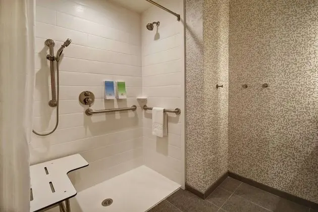 Stüdyo, 1 En Büyük (King) Boy Yatak, Engellilere Uygun (Roll-In Shower)