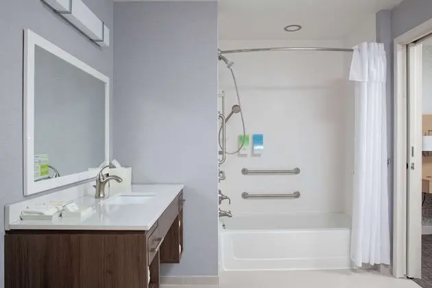 Süit, 1 En Büyük (King) Boy Yatak ve Çekyat, Engellilere Uygun, Sigara İçilmez (Roll-In Shower)