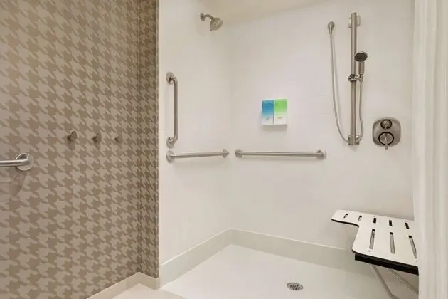 Stüdyo Süit, 1 En Büyük (King) Boy Yatak, Engellilere Uygun (Roll-In Shower)