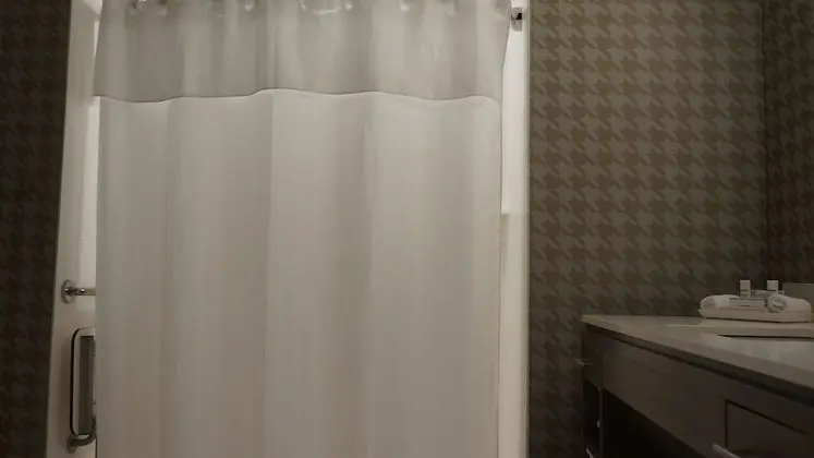 Süit, 1 En Büyük (King) Boy Yatak, Engellilere Uygun (Roll-In Shower)