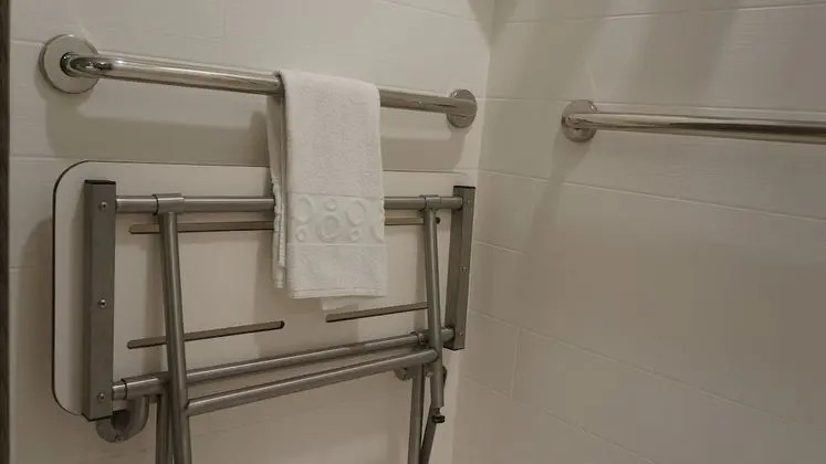 Süit, 1 En Büyük (King) Boy Yatak, Engellilere Uygun (Roll-In Shower)