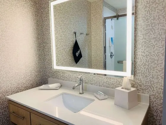 Süit, 1 En Büyük (King) Boy Yatak, Engellilere Uygun, Sigara İçilmez (Roll-In Shower)