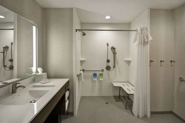 Süit, 1 En Büyük (King) Boy Yatak, Engellilere Uygun (Roll-In Shower)