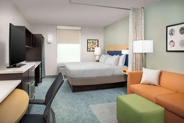 King Studio Suite, Stüdyo, 1 En Büyük (King) Boy Yatak ve Çekyat, Sigara İçilmez