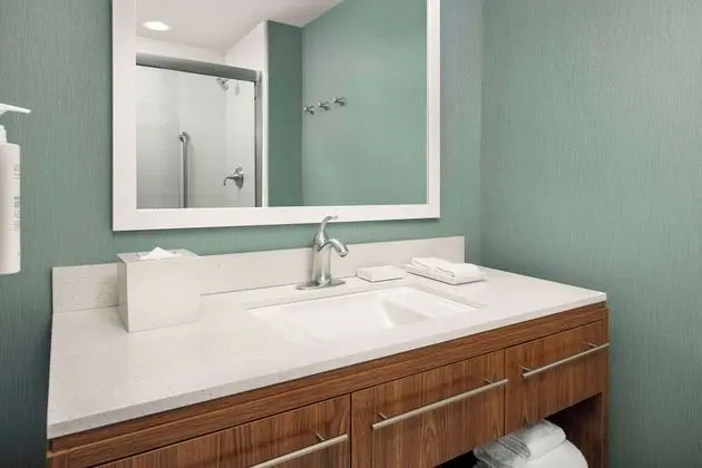 King Studio Suite, Stüdyo, 1 En Büyük (King) Boy Yatak ve Çekyat, Sigara İçilmez