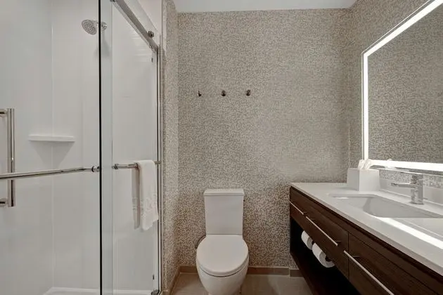 Deluxe Süit, 1 En Büyük (King) Boy Yatak, Sigara İçilmez