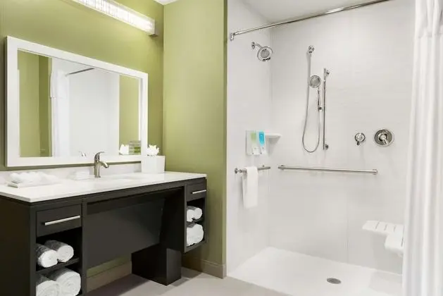Süit, 1 En Büyük (King) Boy Yatak, Sigara İçilmez (Roll-in Shower)