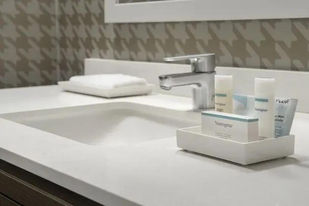 Süit, 1 En Büyük (King) Boy Yatak, Engellilere Uygun, Sigara İçilmez (Roll-In Shower)