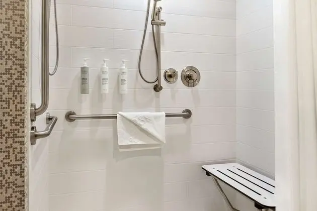 Stüdyo, 1 En Büyük (King) Boy Yatak, Engellilere Uygun (Roll-In Shower)