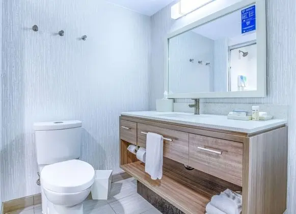 Stüdyo, 1 En Büyük (King) Boy Yatak, Engellilere Uygun, Küvet