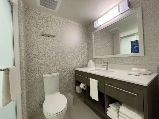 Stüdyo Süit, 1 En Büyük (King) Boy Yatak, Sigara İçilmez