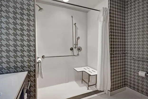Süit, 1 En Büyük (King) Boy Yatak, Engellilere Uygun, Sigara İçilmez (Roll-In Shower)