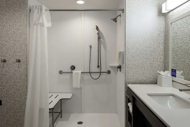 Stüdyo, 1 En Büyük (King) Boy Yatak, Engellilere Uygun, Sigara İçilmez (Roll-In Shower)
