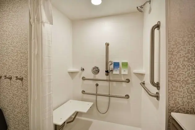 Stüdyo, 1 En Büyük (King) Boy Yatak, Engellilere Uygun (Roll-In Shower)