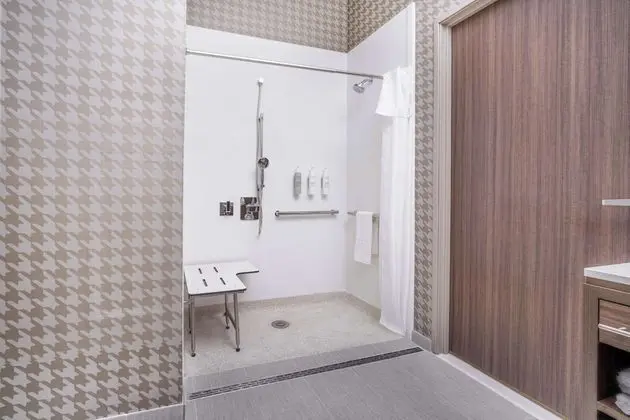 Stüdyo, 1 En Büyük (King) Boy Yatak, Engellilere Uygun (Roll-In Shower)