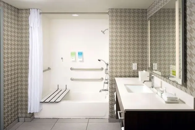 Süit, 1 En Büyük (King) Boy Yatak, Engellilere Uygun, Sigara İçilmez (w/ bathtub)