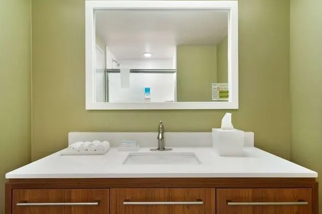 Stüdyo, 1 En Büyük (King) Boy Yatak, Engellilere Uygun, Sigara İçilmez (w/ bathtub)