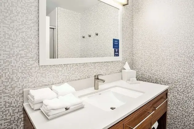 Stüdyo, 1 En Büyük (King) Boy Yatak, Engellilere Uygun, Sigara İçilmez (Roll-in shower)