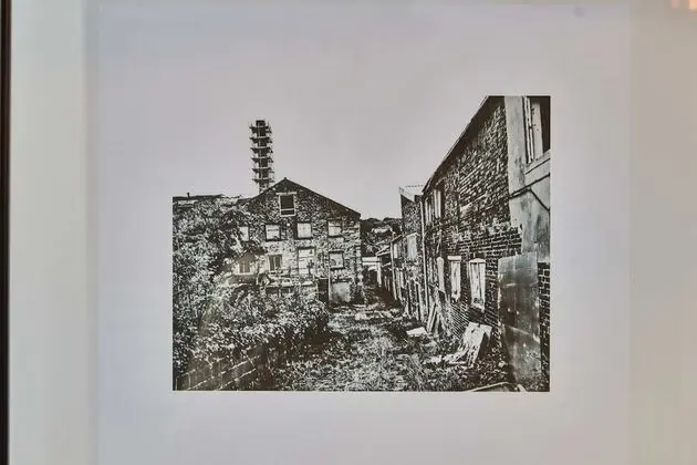 Luxury Kır Evi, Özel Banyo (Mill Cottage)