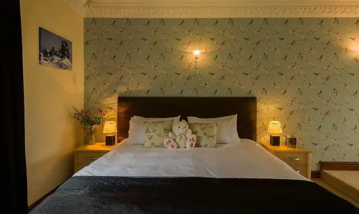 Deluxe Tek Büyük Yataklı Oda, Banyolu/Duşlu (School Room)